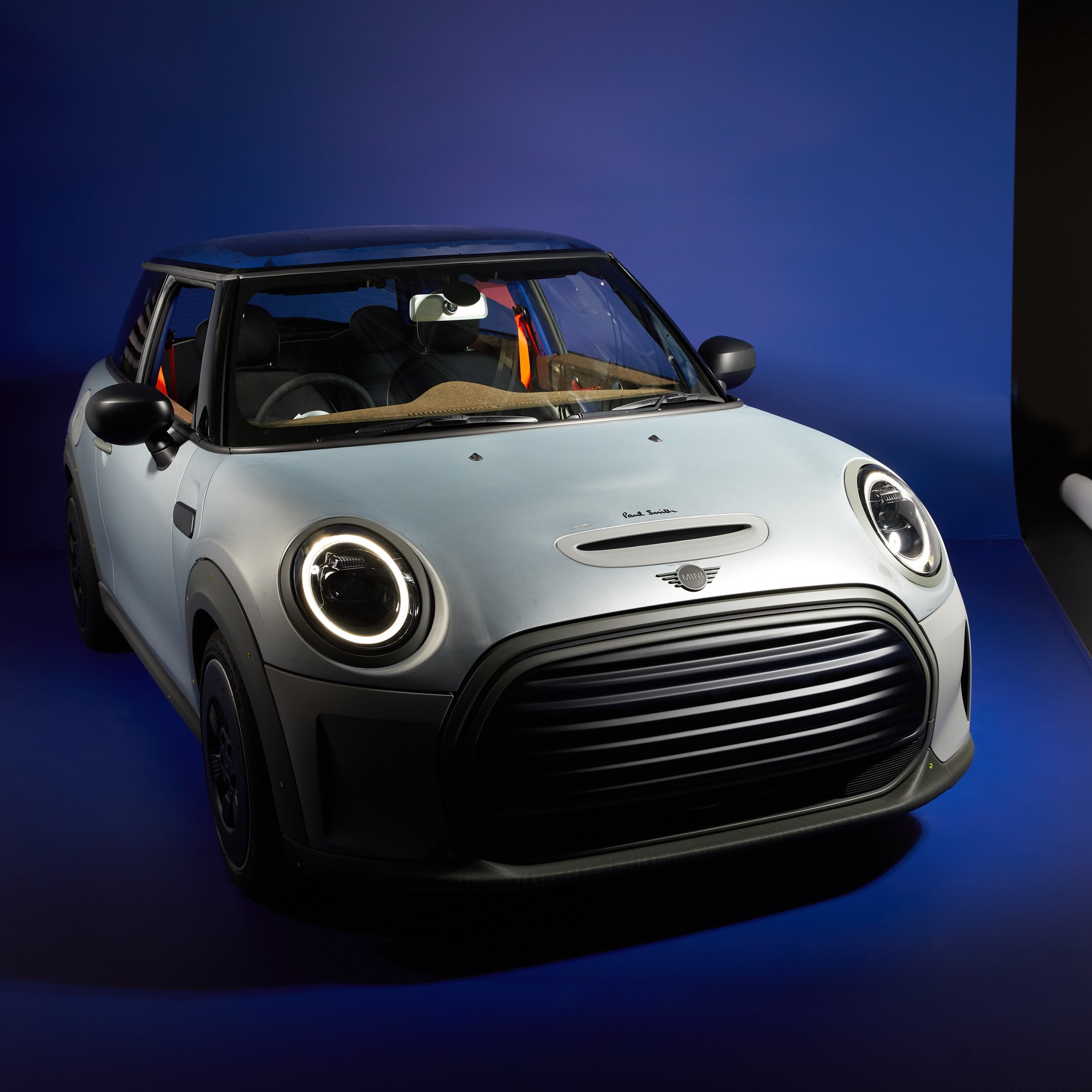 Picture of the MINI Strip.